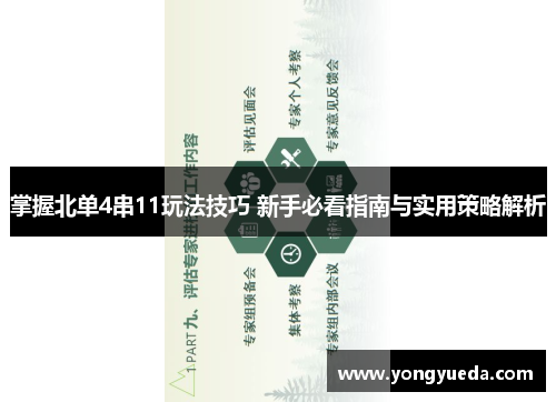 掌握北单4串11玩法技巧 新手必看指南与实用策略解析
